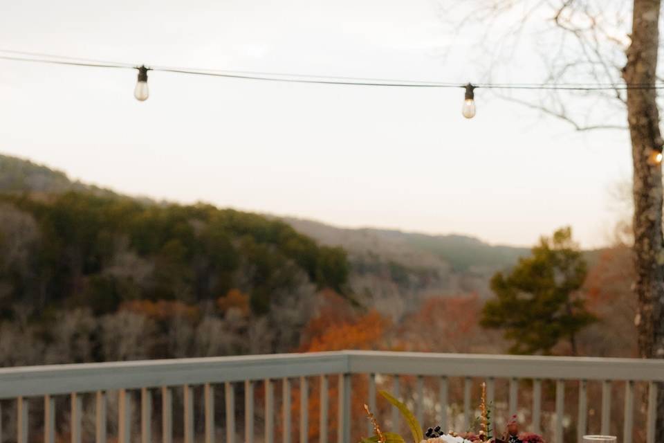 Reception on back deck