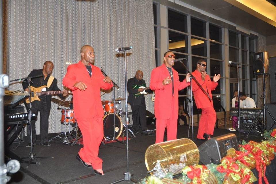 BRW Band