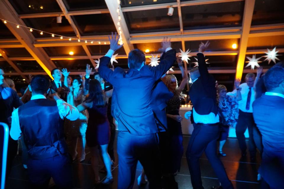 Adler Planetarium DJ Chicago Wedding DJ Hot Mix Entertainment