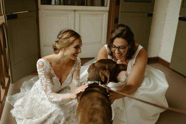 President Lincoln's Cottage