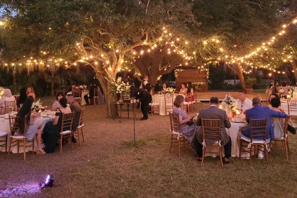 Dinner Under the Stars