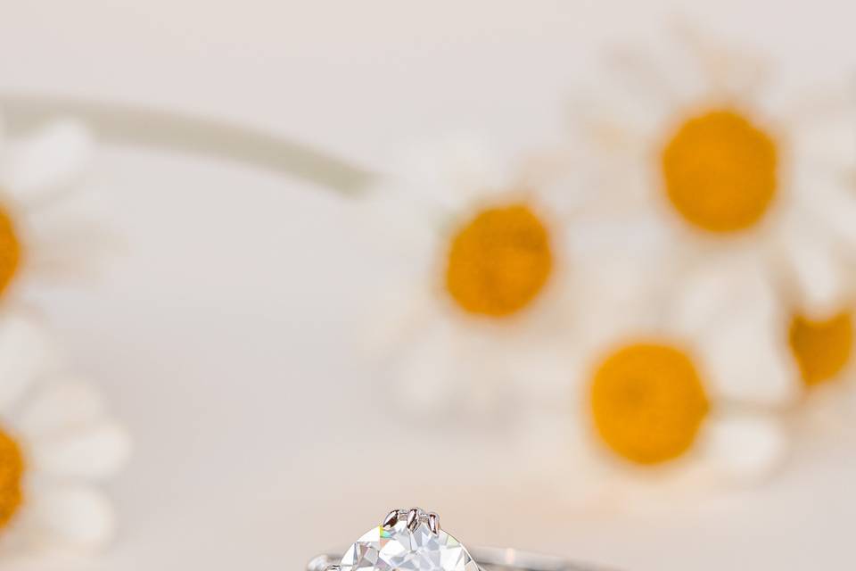 Eleanor Engagement Ring