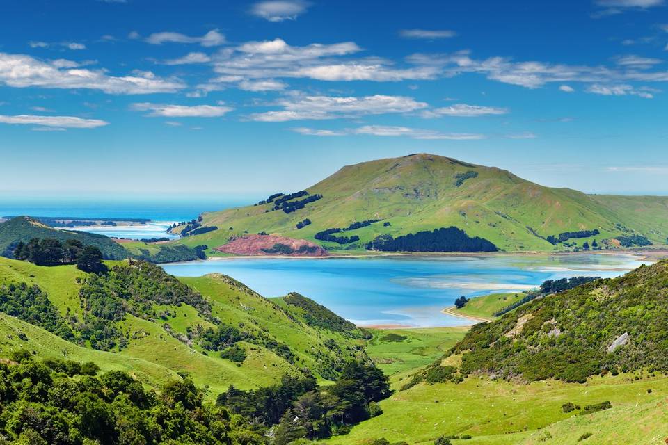 New Zealand