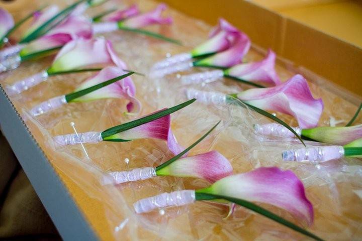 Custom Calla lily boutonniere designs by Vivid Expressions LLC.  Event design, flowers, and decor by Vivid Expressions for client's wedding The Westin Hotel in Virginia Beach, Virginia.  Wedding Stylist.  Event Design and Floral Design presentation.  Event planning, wedding planning, wedding design, event design, wedding flowers, event flowers and decor.  Luxury wedding, Luxury event design planning.  Image by Glenn Fajota Photography