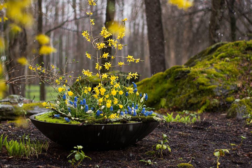 Spring bowl