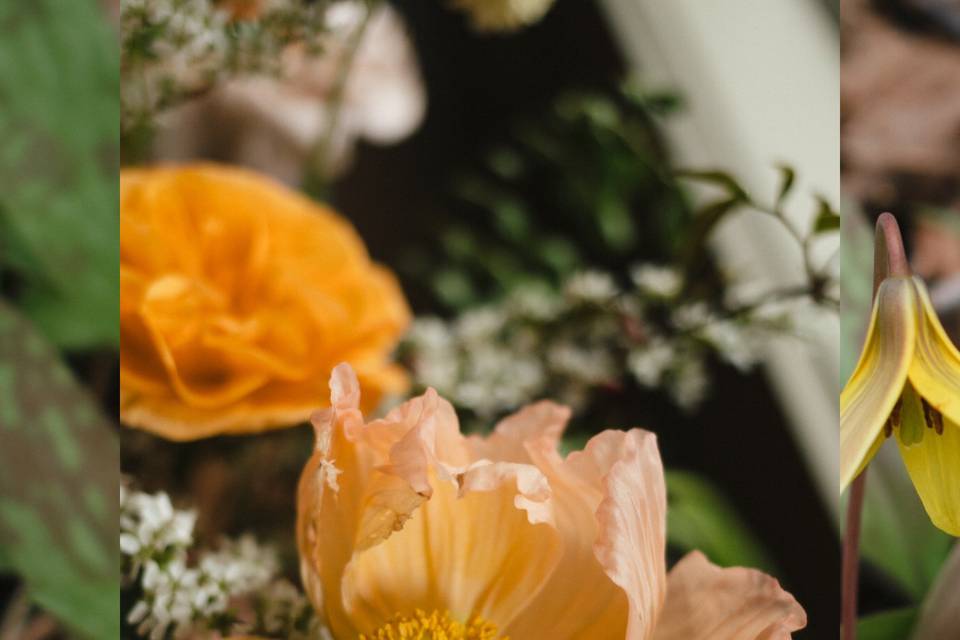 Poppy in bouquet