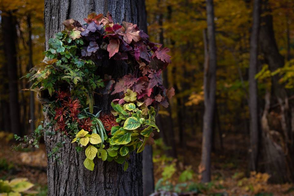 Live wreath