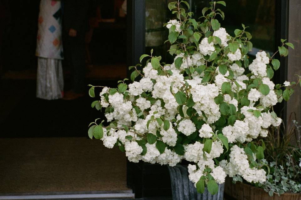 Flowered Urn