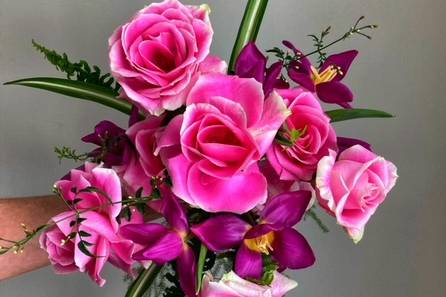 Magenta 2023 Color of the Year