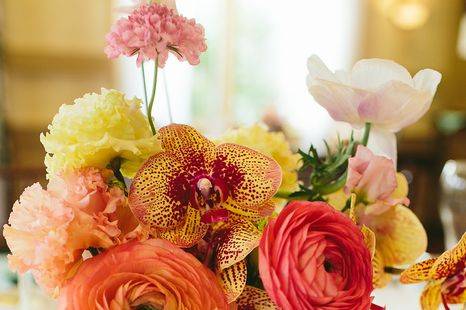 Bright summer colors