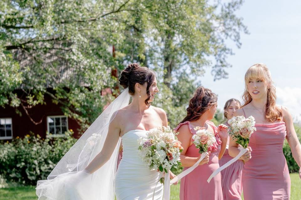 Bride and maids