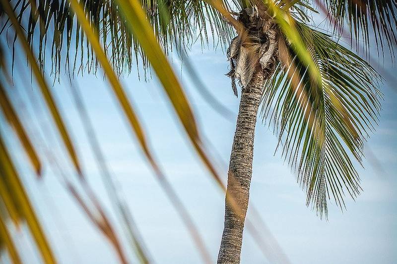 Big Day in Key West