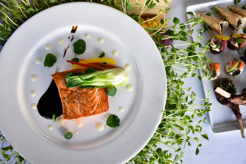 Filet paired with Salmon