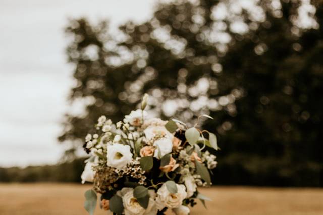 Https://www.emilymichellephoto
