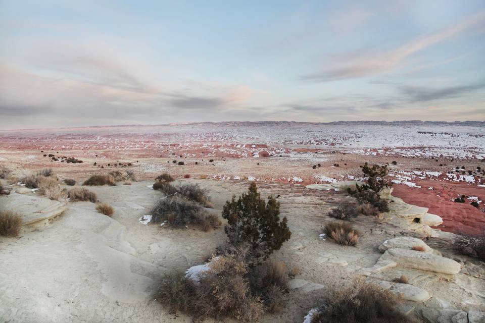 Desert Sherbert