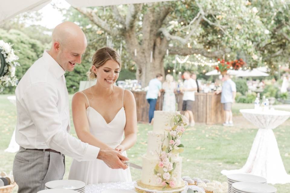 Cake Cutting