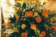 Orange flowers