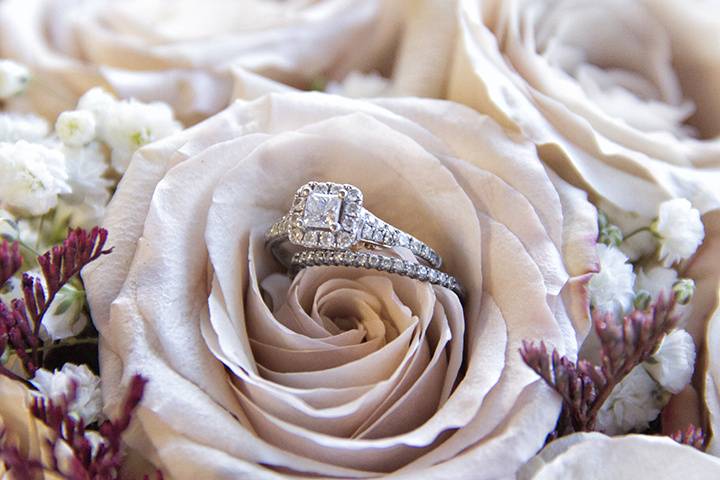 Sutton Photography Studio