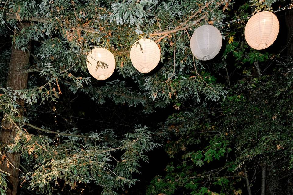 Www.theuncommonweddings.com