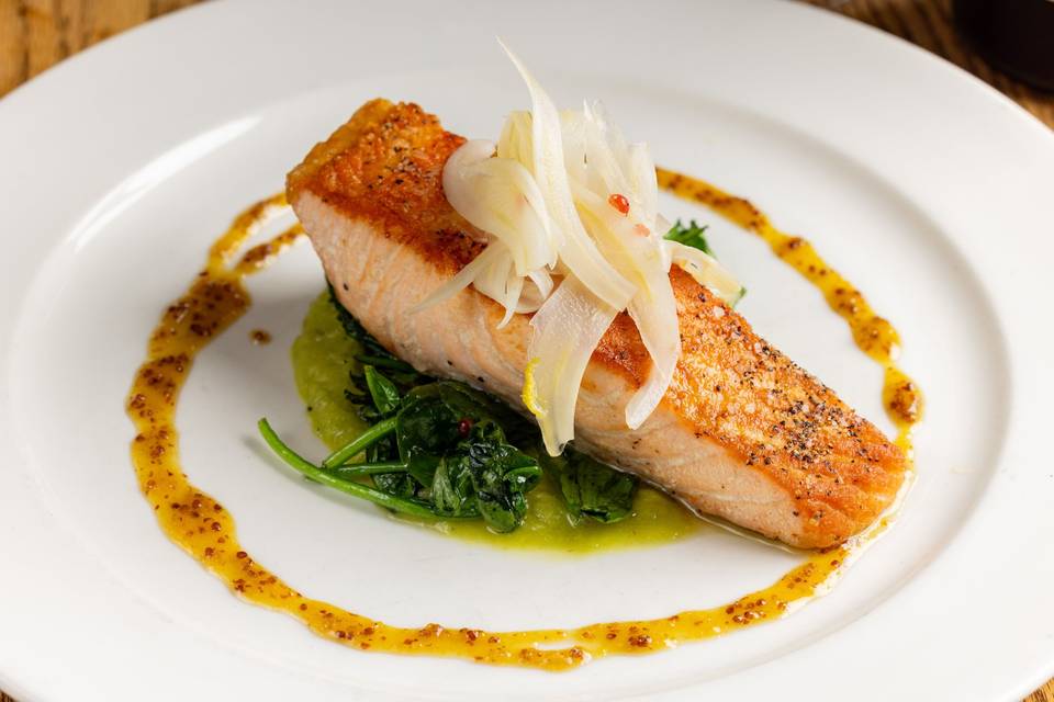 Salmon