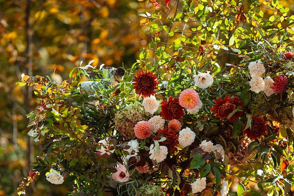 Fall Arbor