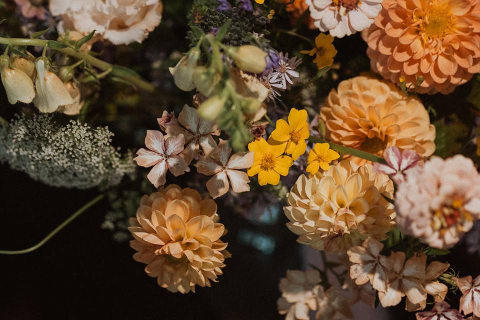 Colorful Fall Palette