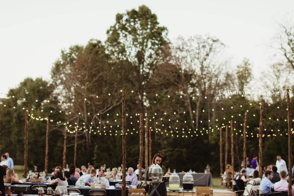 String lights at the reception