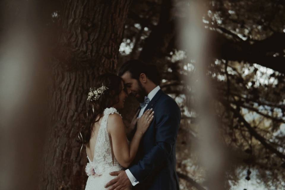 Love in the forest