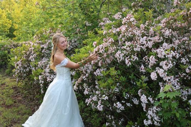 Spring Mountain Laurel tunnel