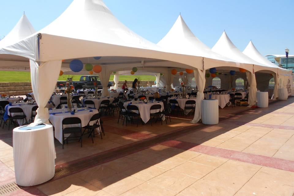 Outdoor reception setup