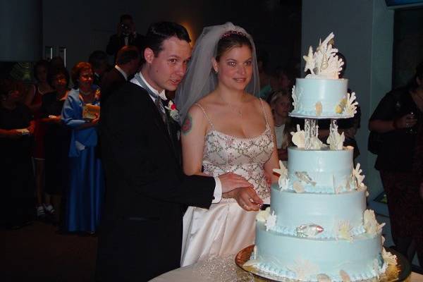 Wedding cake cutting