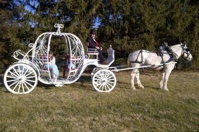 Indiana Carriage