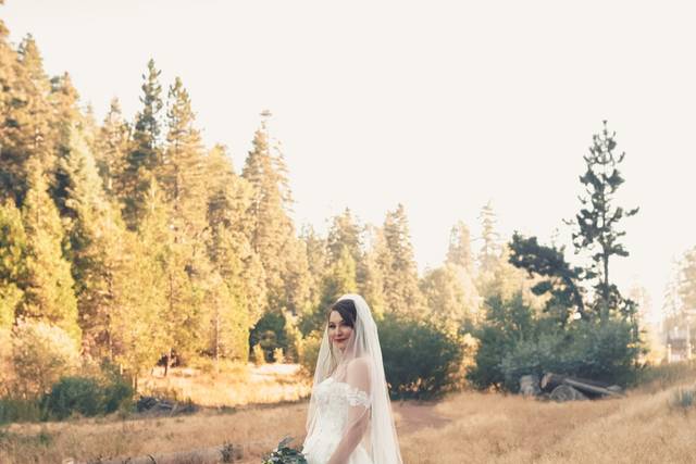 Forest Romantics