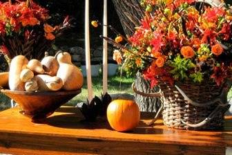 The crisp, cooler mornings and sounds of children playing in the schoolyard across the street reminds me of my favorite time of year and the wonderful fall season of holidays and celebrations right around the corner.