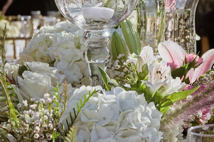 Maggie Gillespie Designs