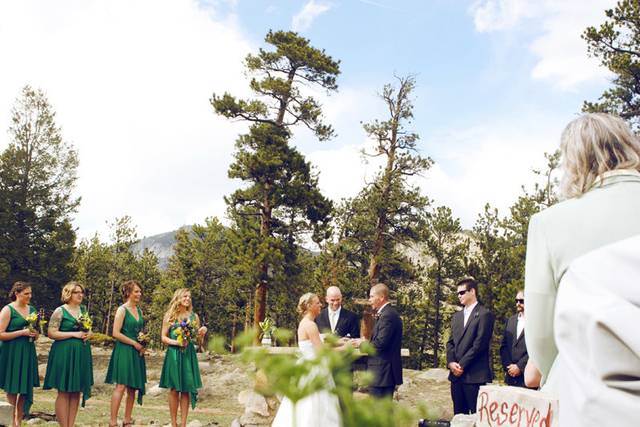 Autumn Pines Photography