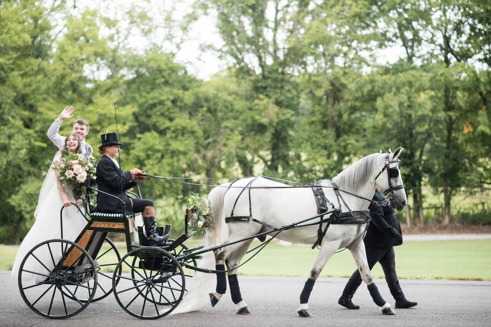 Horse drawn carriage wedding