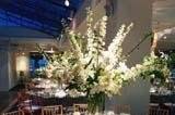 Table setting with centerpiece