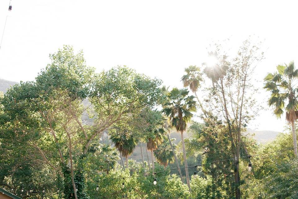 Bandy Canyon Ranch