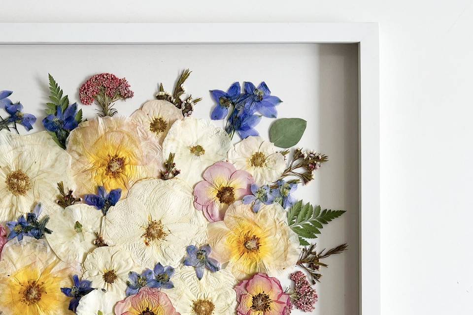 Pressed flower frame - Poppies