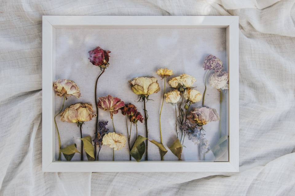 Pressed flower frame - Poppies