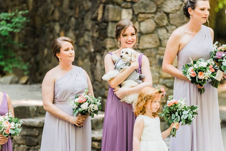 Sweet little dog ring bearer