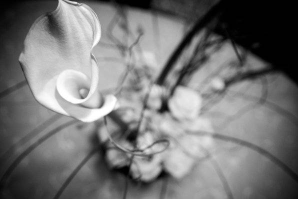 Celebrations Event Planning & Floral Design