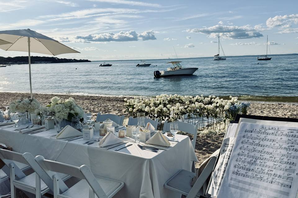 Elegant dinner party with trio