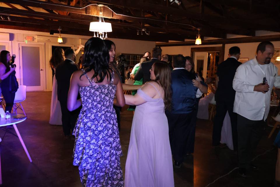 Guests dancing the night away