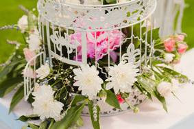 Sogni Confettati - Lakes Weddings