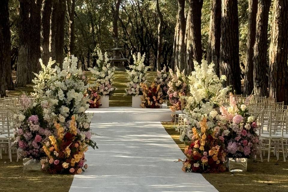 Indian Wedding