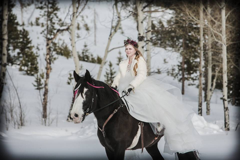 Winter bride