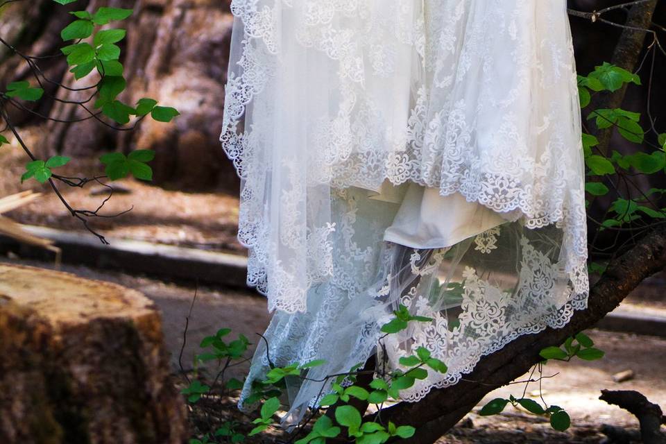 Wedding dress and veil