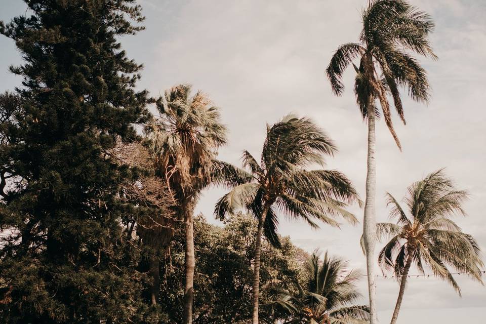 Wedding space at Olowalu